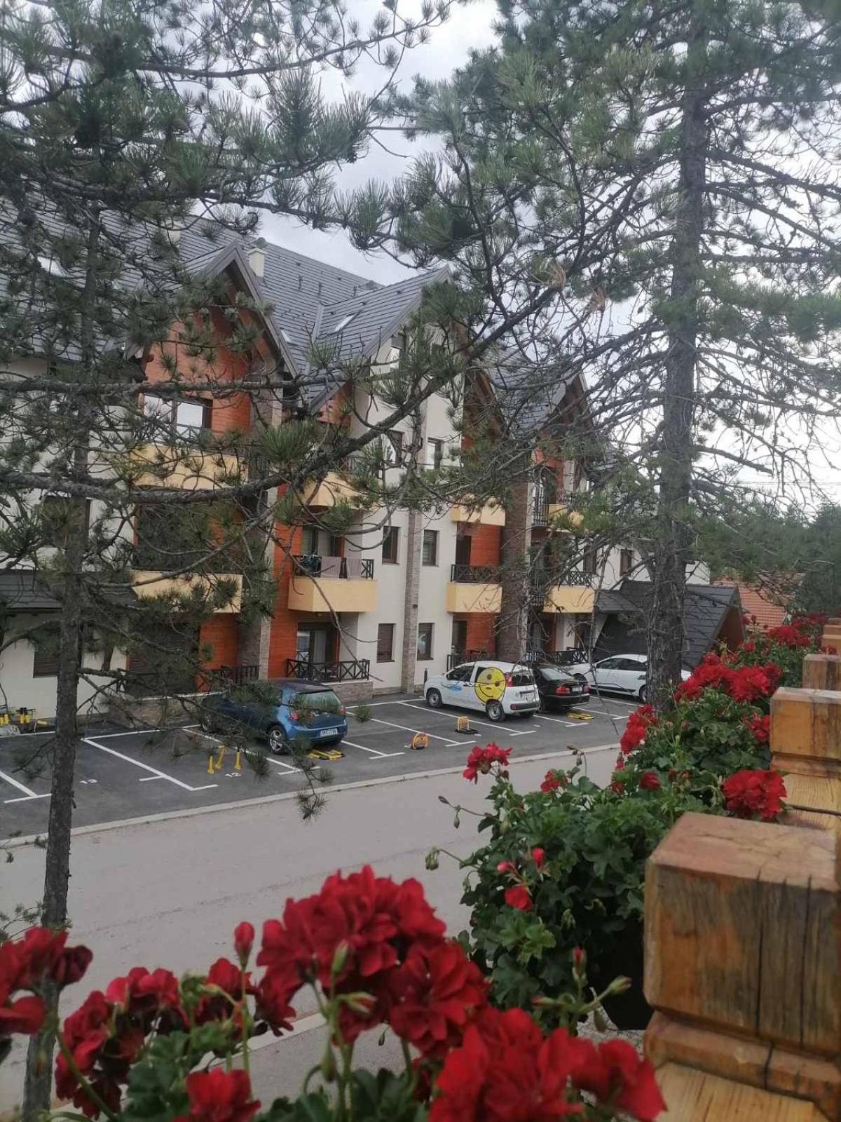 Apartman Pahuljica Tara Kaludjerske Bare Ngoại thất bức ảnh